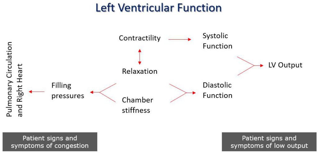 Figure 1. Interconnection of left ventricular systolic and diastolic functions