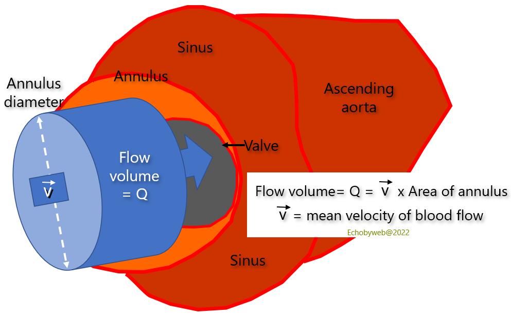 Figure 7. Measurement of Flow Volume. 