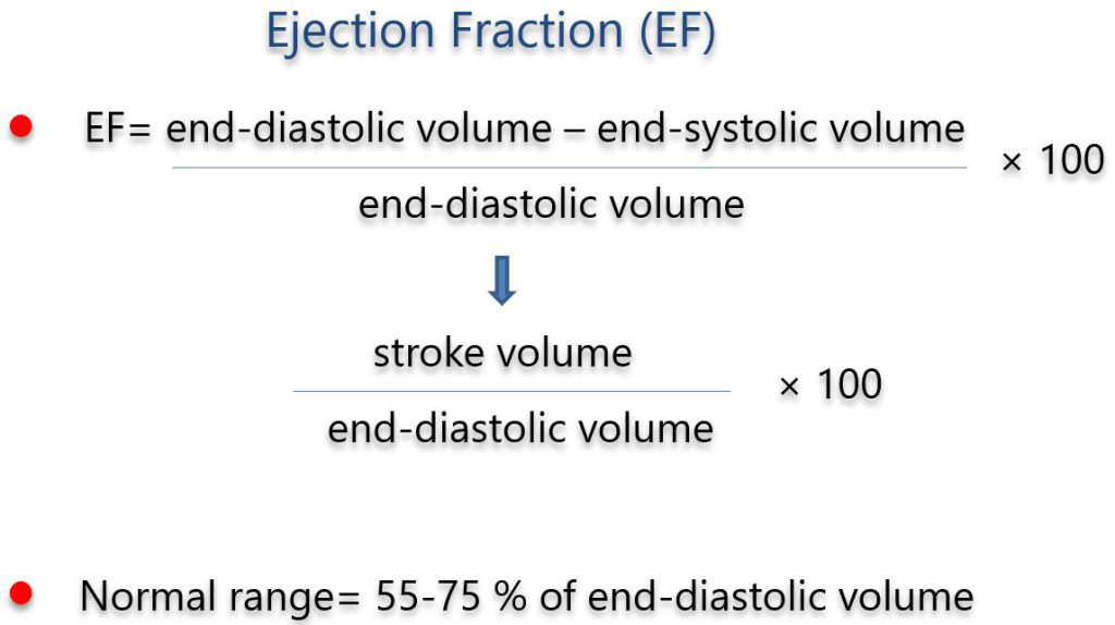 Figure 2. Ejection fraction and stroke volume