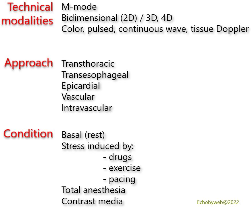 Table 2. Echocardiographic technical modalities, approach and conditions