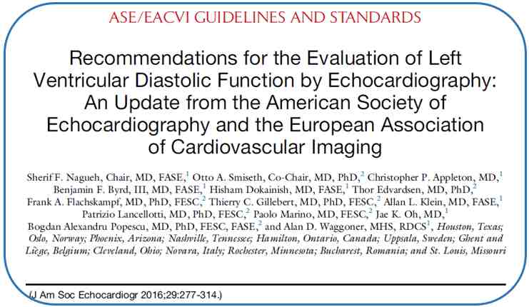 Figura 06 - Le Raccommandazioni ASE-EACVI 2016