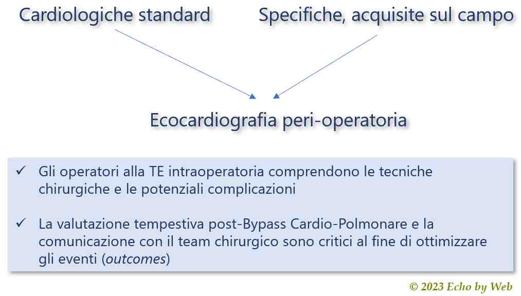Figura 02 -  Le competenze dell' operatore