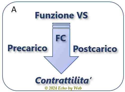 Figura 03a -  La contrattilità VS